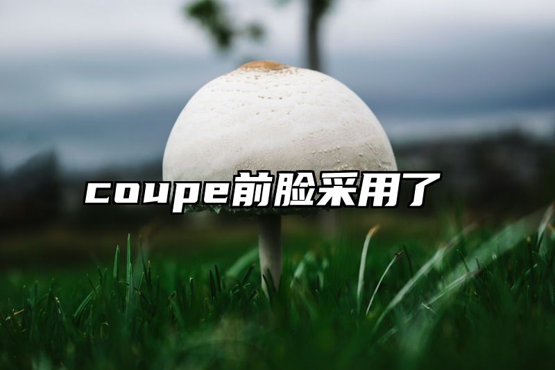 coupe前脸采用了
