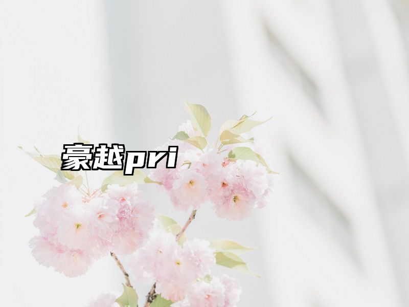 豪越pri