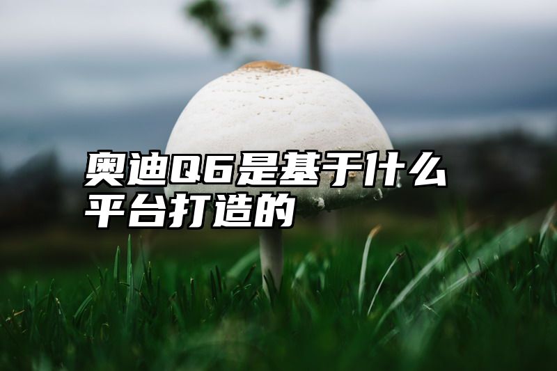 奥迪Q6是基于什么平台打造的