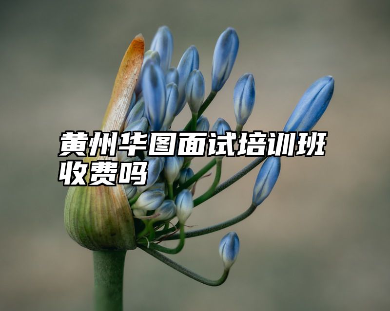黄州华图面试培训班收费吗