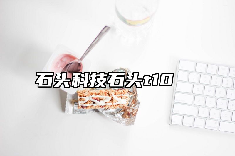 石头科技石头t10