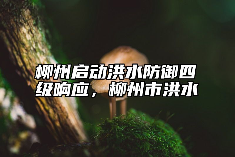 柳州启动洪水防御四级响应，柳州市洪水