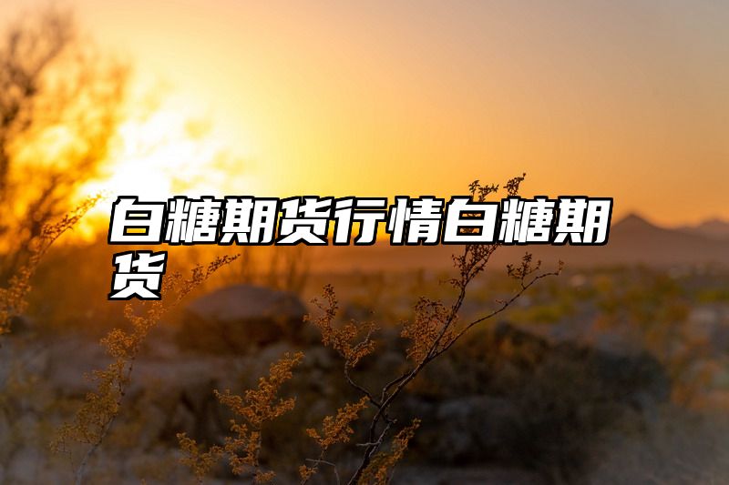 白糖期货行情白糖期货
