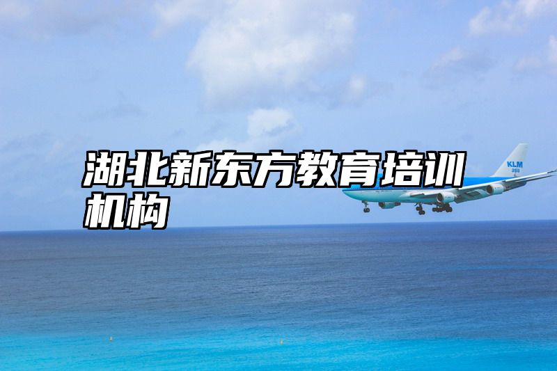 湖北新东方教育培训机构