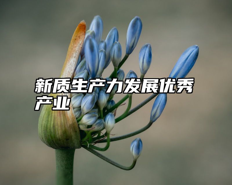 新质生产力发展优秀产业