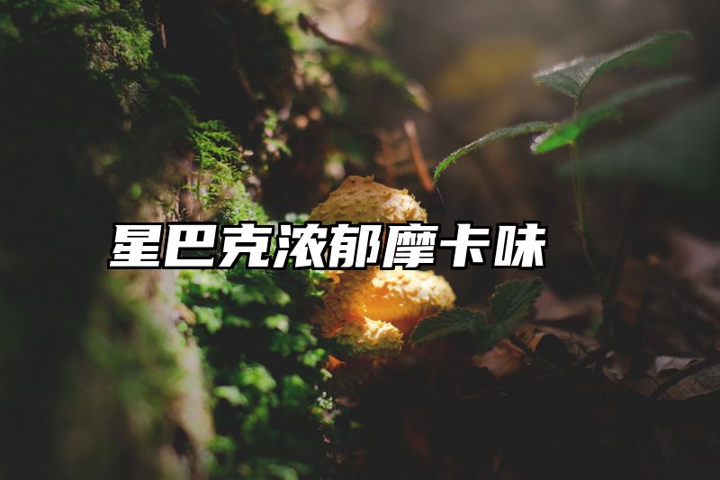 星巴克浓郁摩卡味