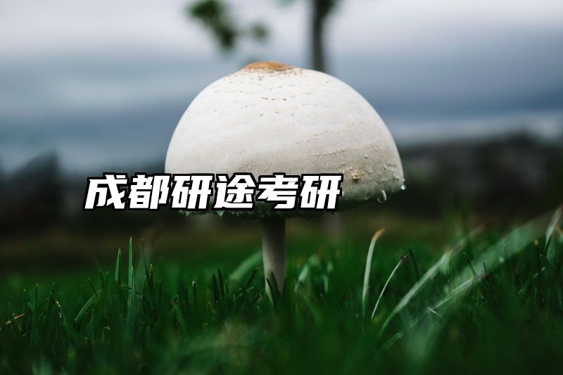成都研途考研