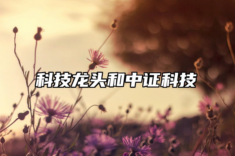 科技龙头和中证科技