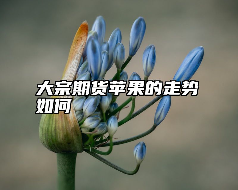 大宗期货苹果的走势如何