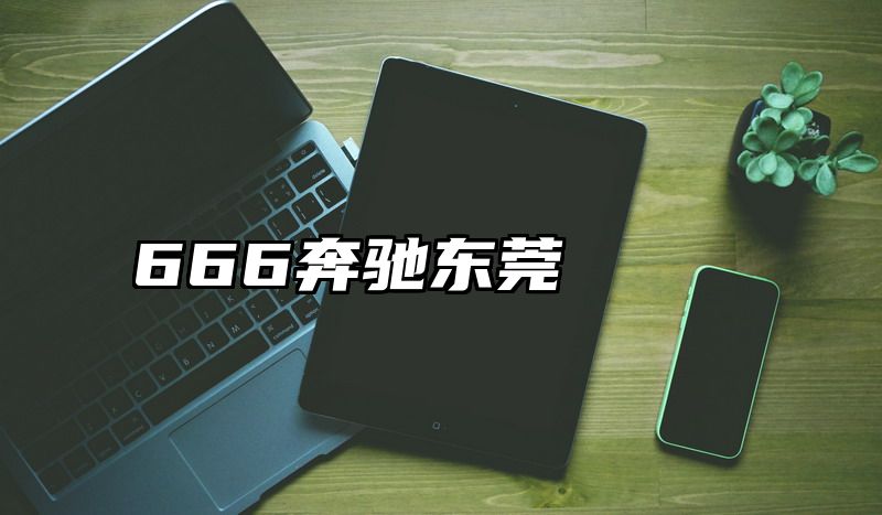 666奔驰东莞