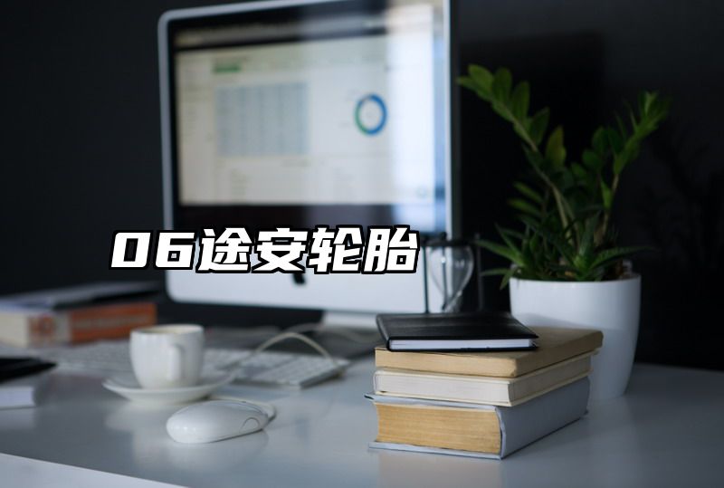 06途安轮胎