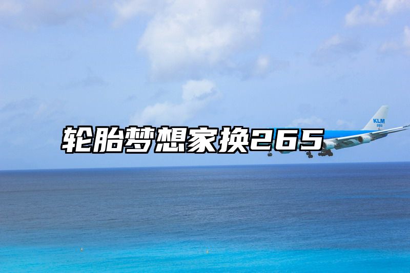 轮胎梦想家换265