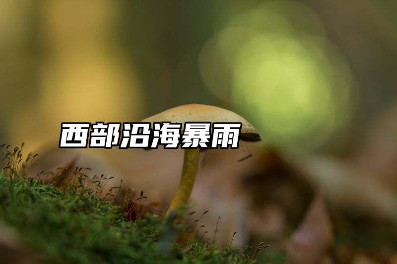 西部沿海暴雨