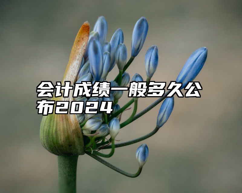 会计成绩一般多久公布2024