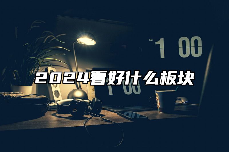 2024看好什么板块