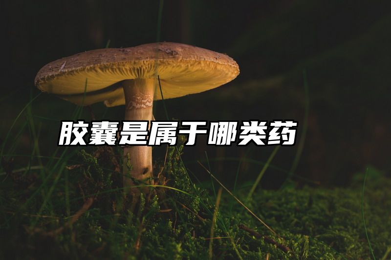点击查看《胶囊是属于哪类药》全文
