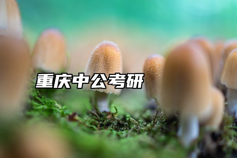 重庆中公考研