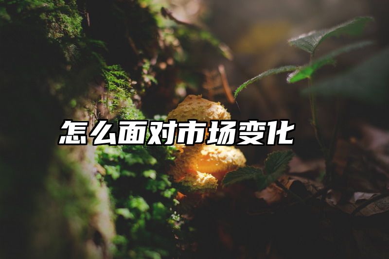 点击查看《怎么面对市场变化》全文