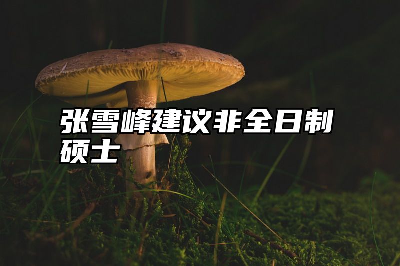 张雪峰建议非全日制硕士