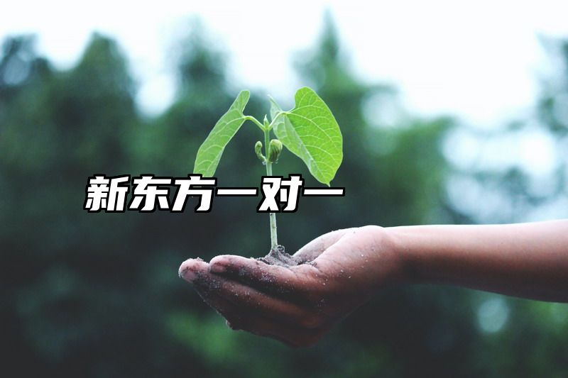 新东方一对一