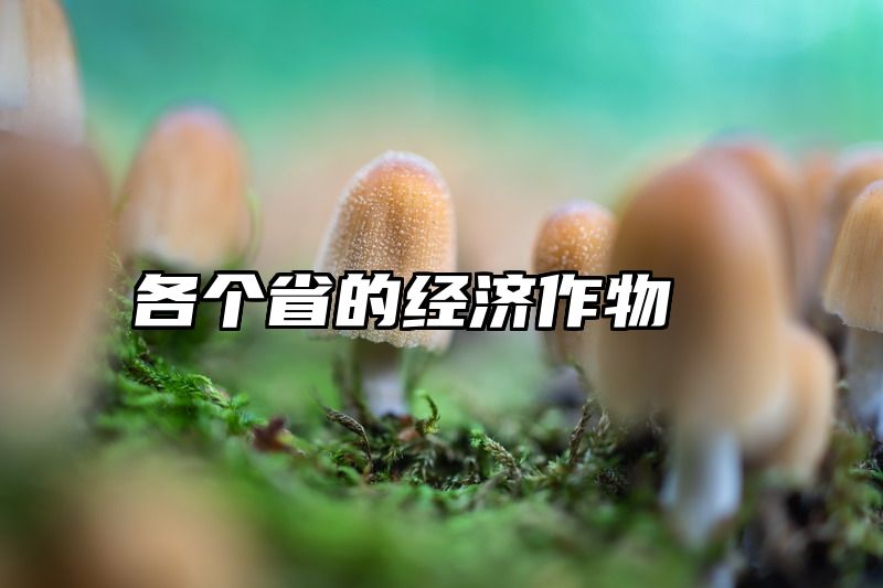 各个省的经济作物