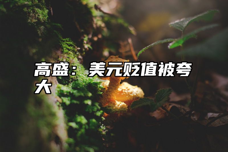 高盛：美元贬值被夸大