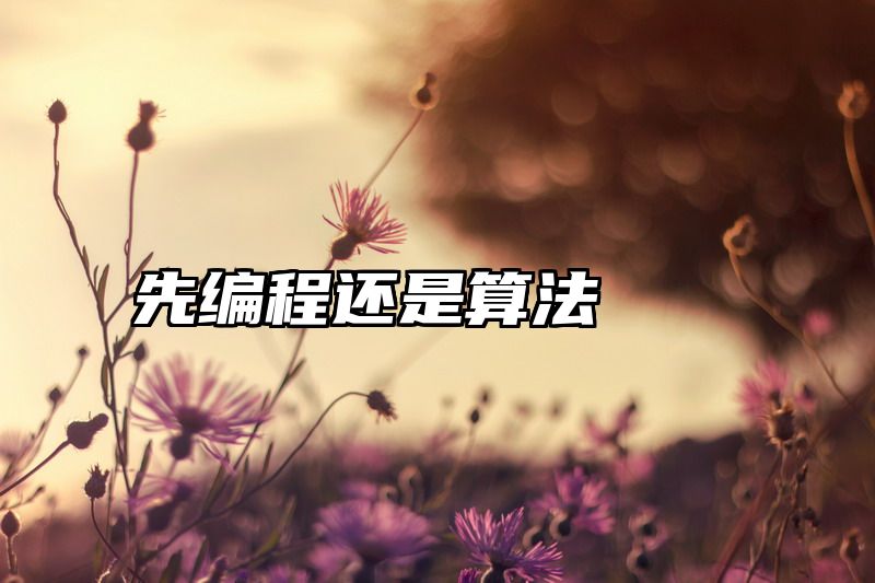 先编程还是算法