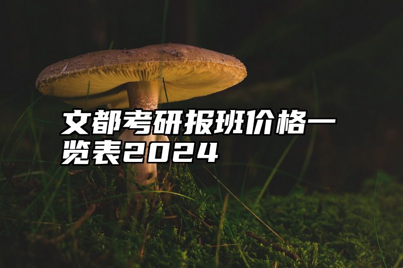 文都考研报班价格一览表2024