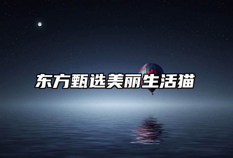 东方甄选美丽生活猫