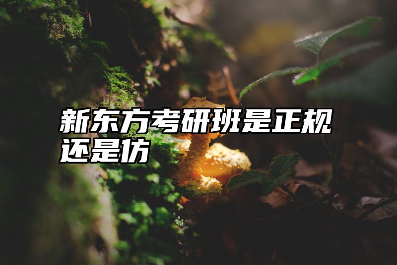 新东方考研班是正规还是仿