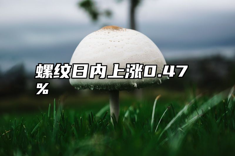 螺纹日内上涨0.47%