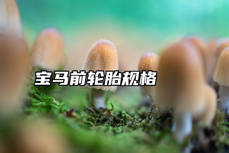 宝马前轮胎规格
