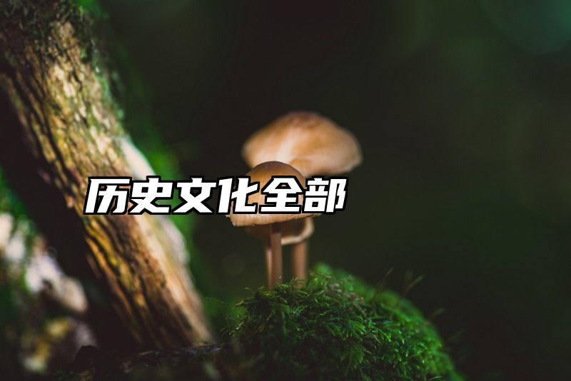 历史文化全部