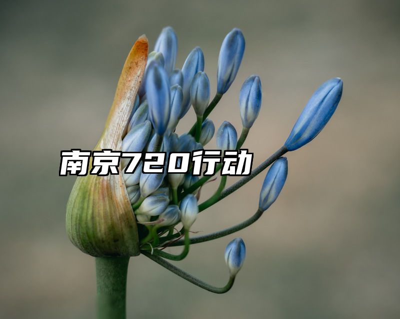 南京720行动