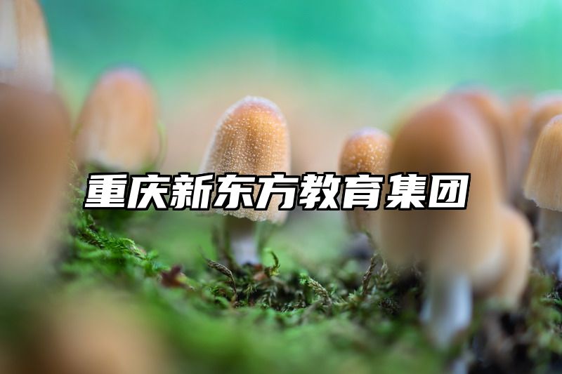 重庆新东方教育集团