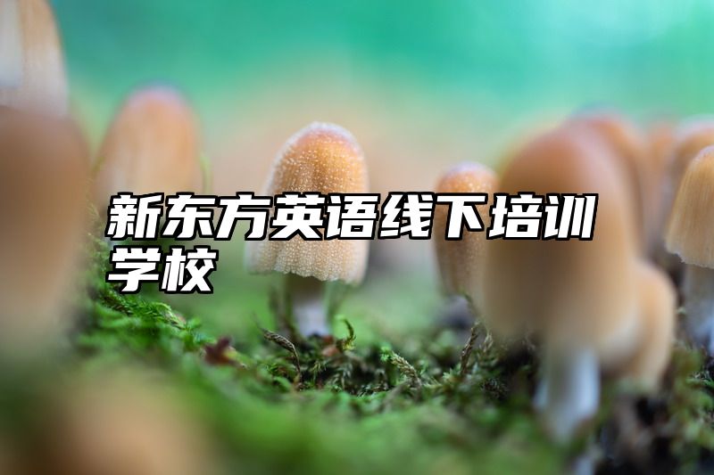 新东方英语线下培训学校