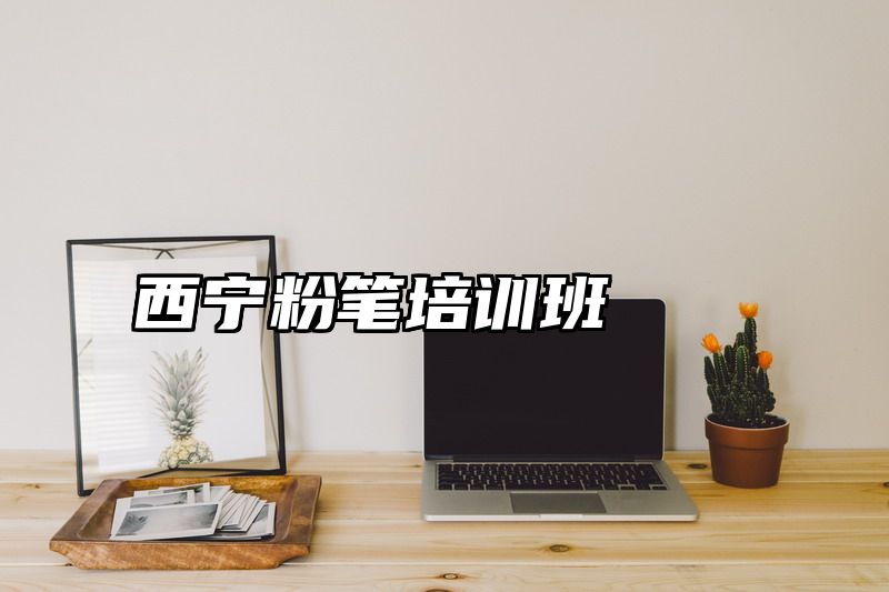 西宁粉笔培训班
