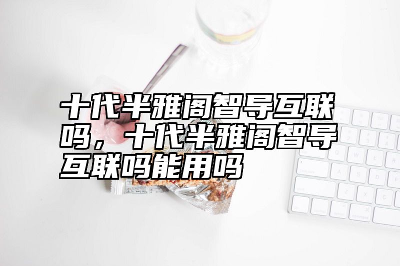 十代半雅阁智导互联吗，十代半雅阁智导互联吗能用吗