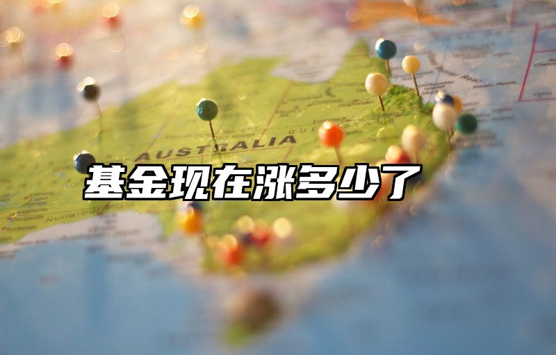 基金现在涨多少了