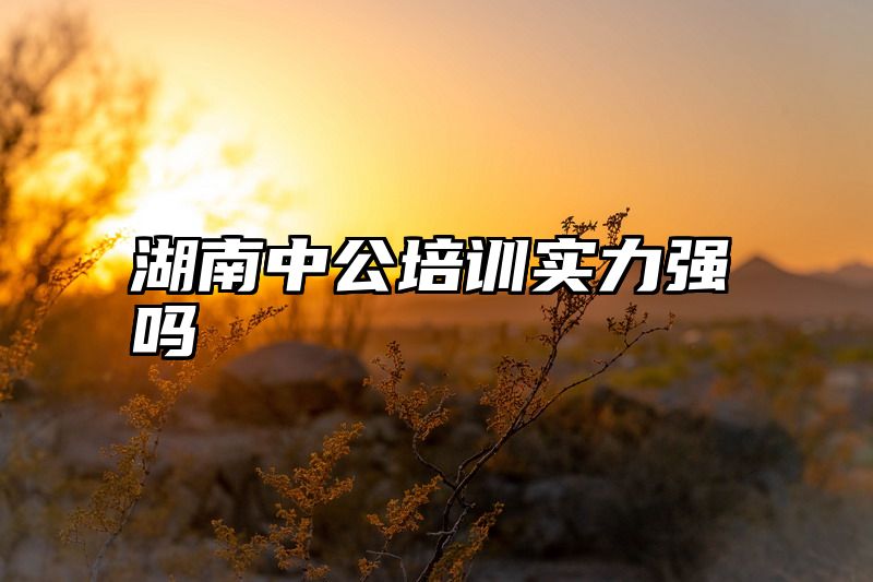 湖南中公培训实力强吗