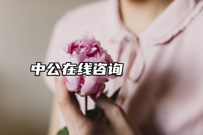 中公在线咨询
