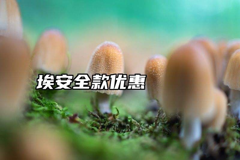 埃安全款优惠