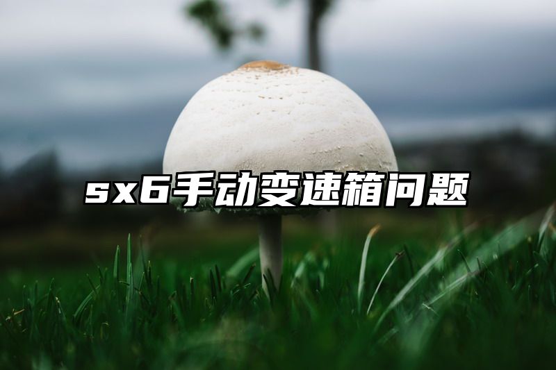 sx6手动变速箱问题