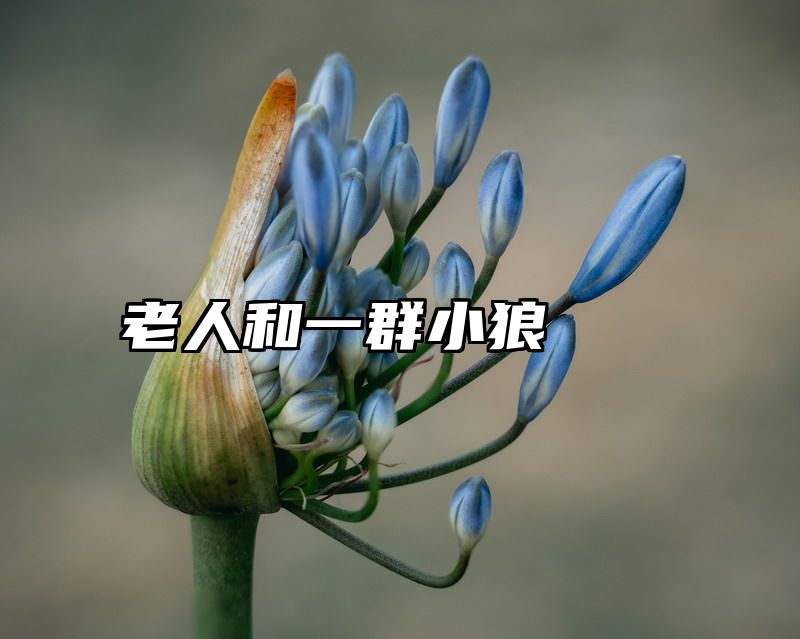 点击查看《老人和一群小狼》全文