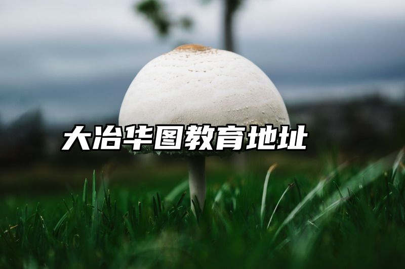 大冶华图教育地址