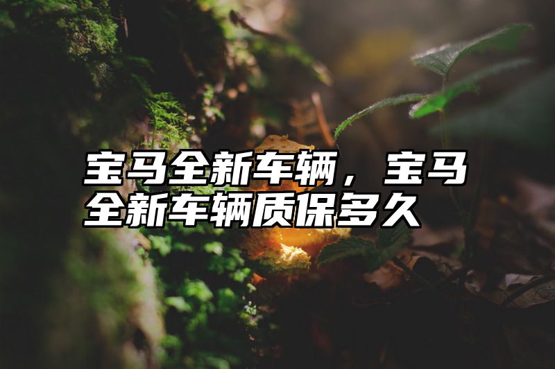 宝马全新车辆，宝马全新车辆质保多久