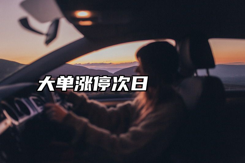 大单涨停次日