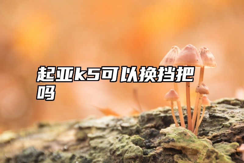 起亚k5可以换挡把吗