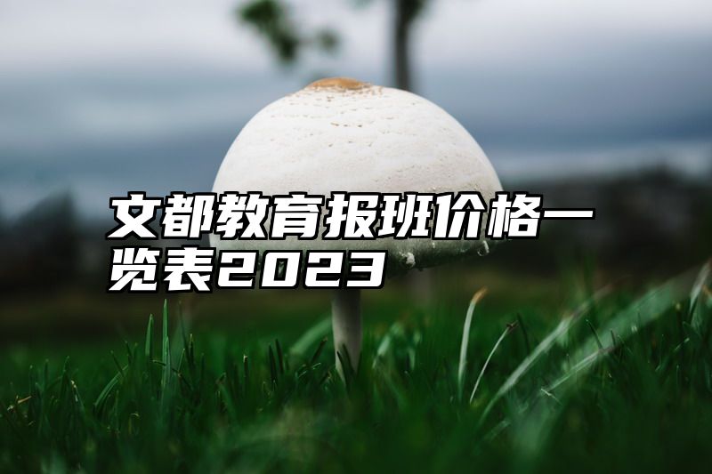 文都教育报班价格一览表2023