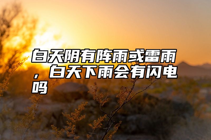 白天阴有阵雨或雷雨，白天下雨会有闪电吗